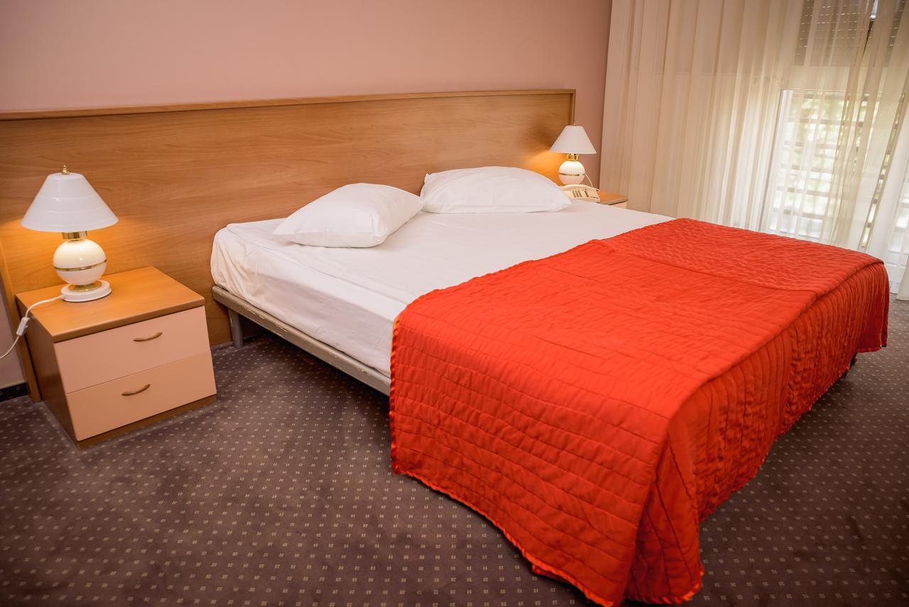 Hotel Reghina 蒂米什瓦拉 外观 照片